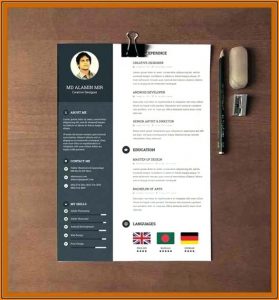 Modern Resume Template Word Free Download