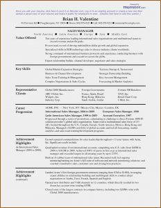 Monster Resume Services