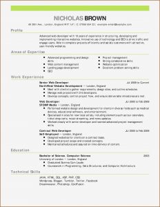 Monster Resume Writing Services India