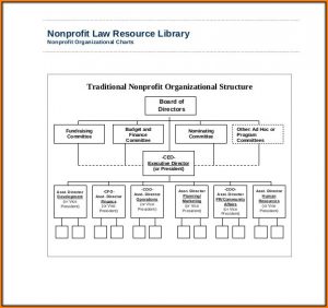 Non Profit Organizational Chart Template
