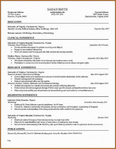 Nurse Practitioner Resume Template Free