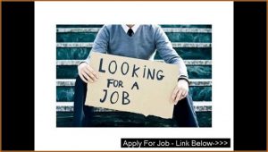 Online Job Apply In Mcdonalds