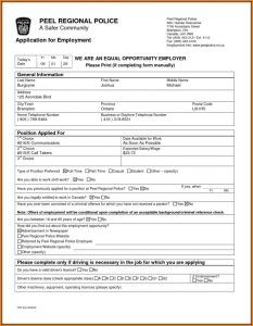 Payless Job Application Form Print Out