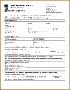 Payless Job Applications