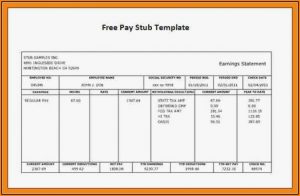 Payroll Check Stubs Template