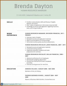 Printable Resume Examples 2017