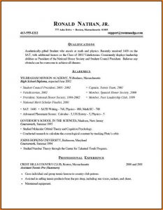 Printable Resume Examples