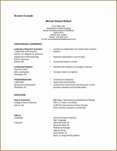 Professional Resume Template Pdf