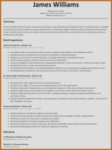 Professional Resumes Templates