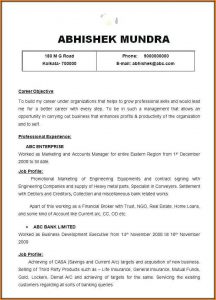 Resume Builder For Government Jobs