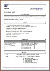 Resume For Sap Fico Freshers