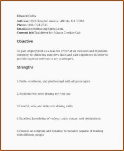 Resume Format For Driving Job