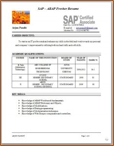 Resume Format For Sap Fico Freshers