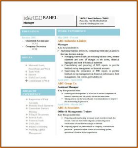 Resume Formats Free Download