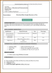 Resume In Ms Word Format Free Download