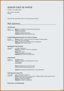 Resume Sample For Chef De Partie