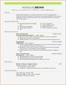 Resume Template Builder Software