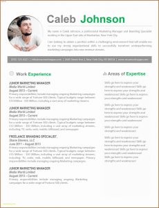 Resume Template For Mac Pages
