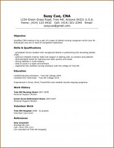 Resume Template For Nursing Assistant