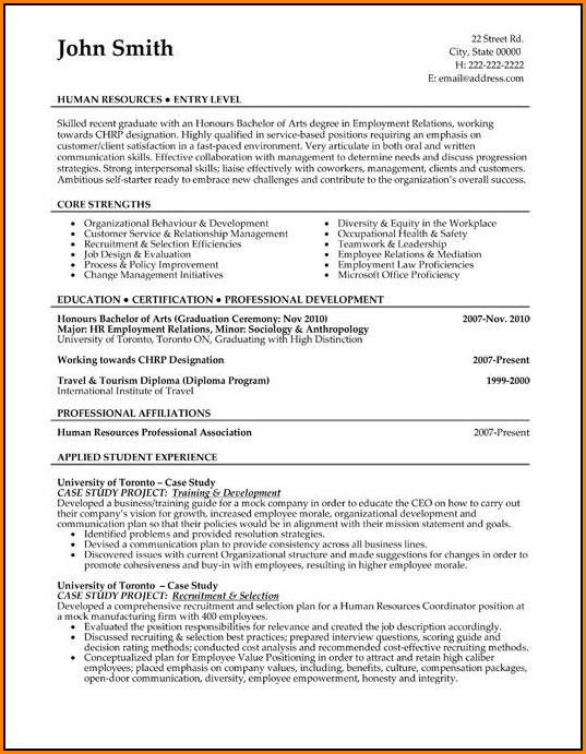 Resume Template For Sales And Marketing