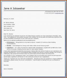 Resume Template For Sales Director