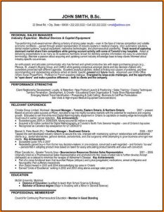 Resume Template For Sales Manager