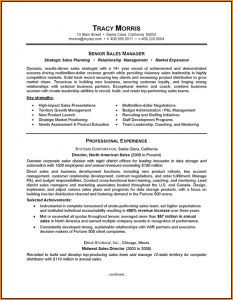 Resume Template For Salesman