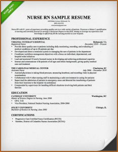 Sample Resumes For Nurses