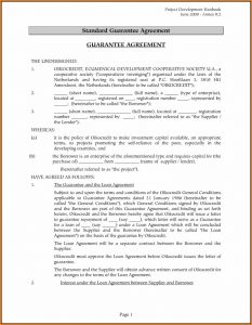 Shareholder Loan Agreement Template Hong Kong