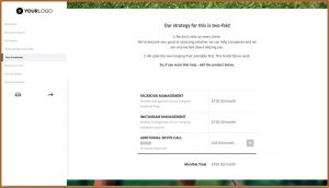 Social Media Proposal Template Free