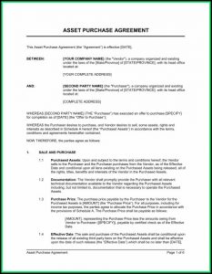 Asset Purchase Agreement Template
