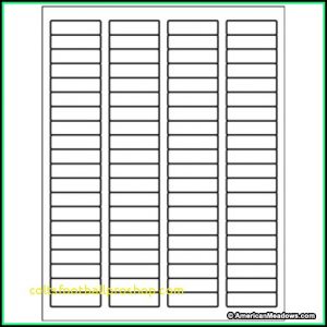 Avery 5 Tab Template Download