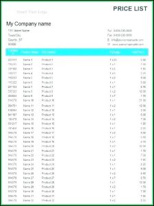 Bank Check Printing Excel Template