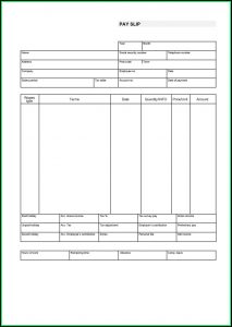 Blank Check Stubs Template
