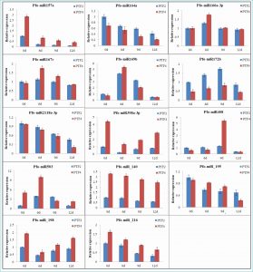 Customer Journey Map Template Ppt Free
