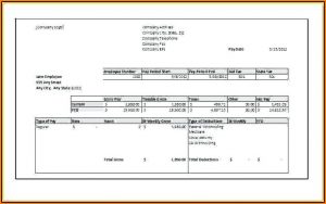 Fake Pay Stub Template Free