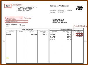 Fillable Blank Pay Stubs Template