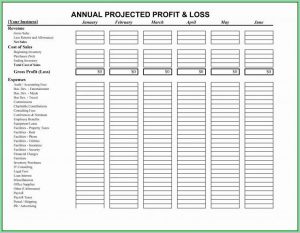 Free Profit And Loss Template Google Docs