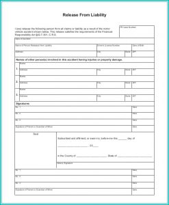Release Of Liability Form Car Sale Template