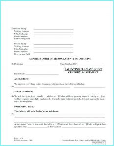 Temporary Child Custody Form Florida