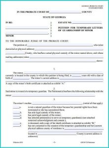 Temporary Child Custody Form Georgia