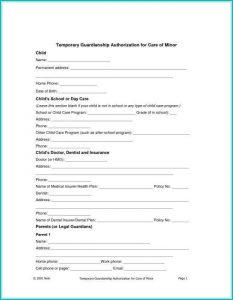 Temporary Child Custody Form Texas
