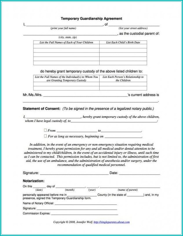 Temporary Child Custody Form