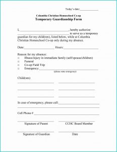 Temporary Guardianship Form California