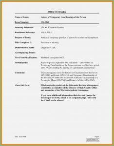 Temporary Guardianship Form Florida