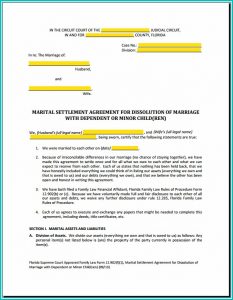 Voluntary Child Custody Agreement Form Florida