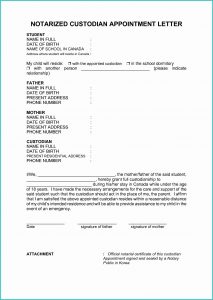 Voluntary Child Custody Agreement Form Ohio