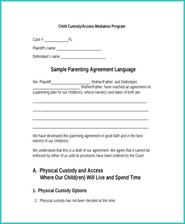Voluntary Child Custody Agreement Form