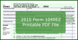 1040ez Form 2015