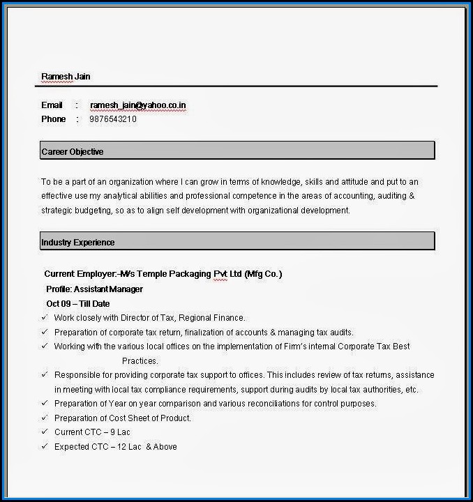 Basic Resume Format Word File Download